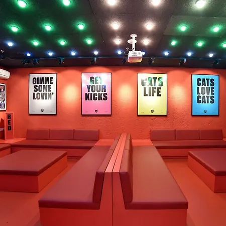 Cats Hostel Madrid Sol-3